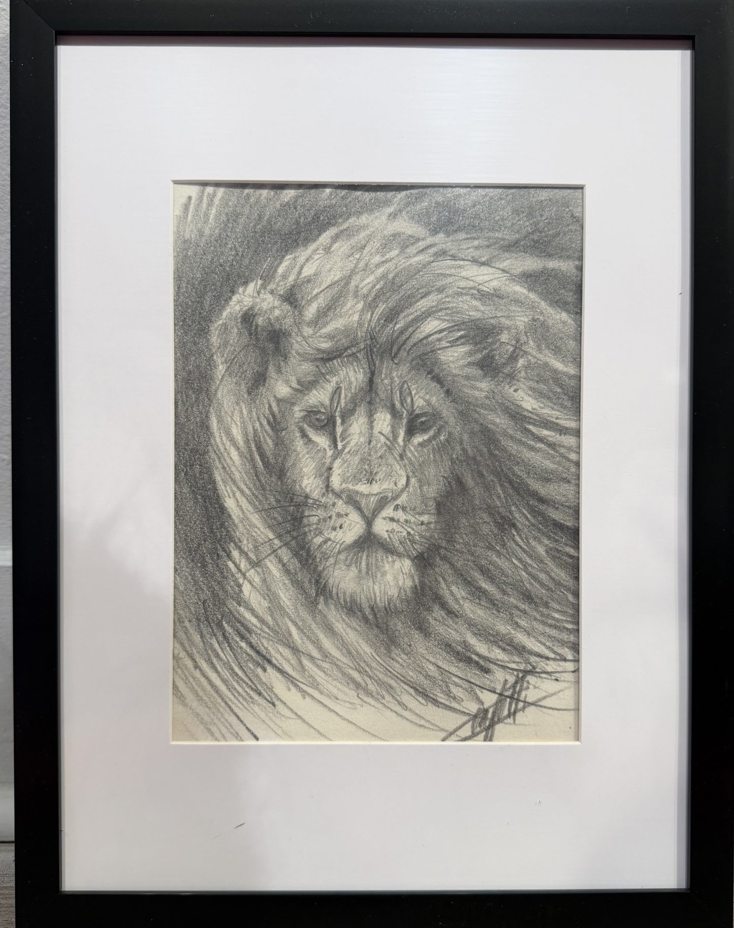 Croquis animalier ''Souffle du roi'' croquis de l'artiste Confetti au crayon graphite