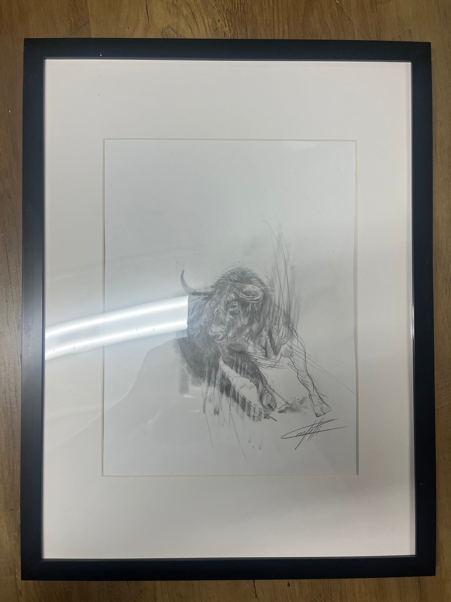 Animal sketch ''Thebull wallstreet study number 2'' of the artist Confetti in graphite pencil on paper