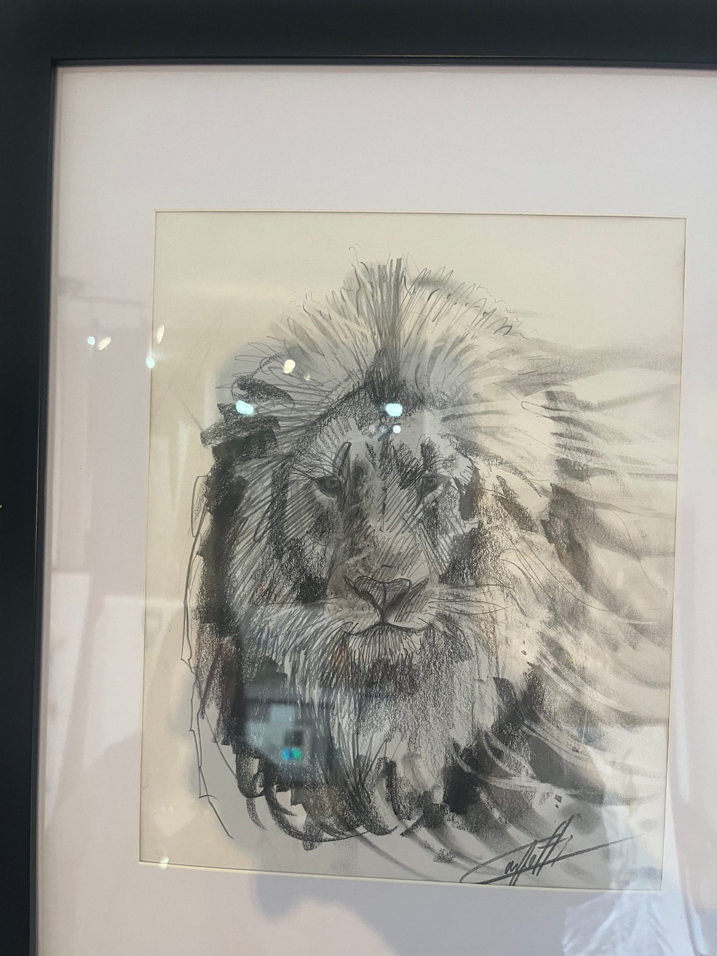 🔴Sketch with charcoal pencil, ''Luminous lion study'' by the artist Confetti