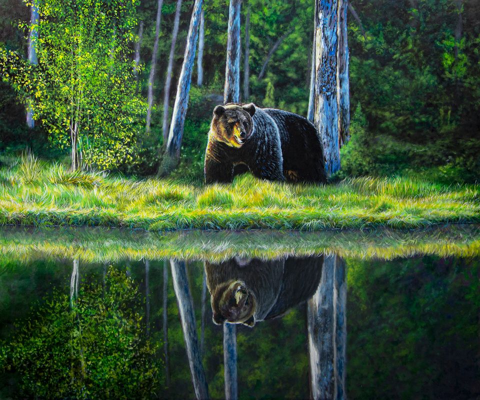 My reflection the bear, art print of the artist Confetti, textured, rare work , bear, nature