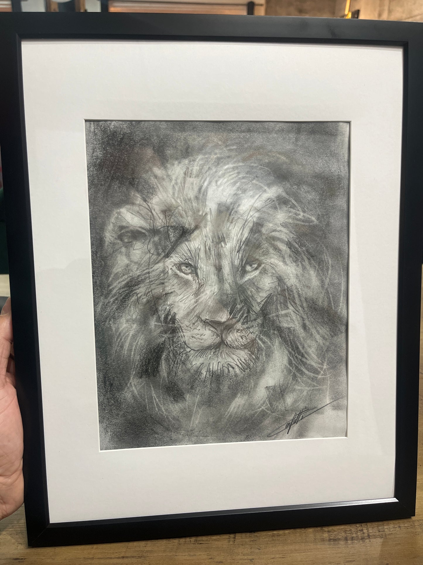 🔴Animal sketch ''The vision of the lion'' sketching study of the artist Confetti in graphite pencil on paper