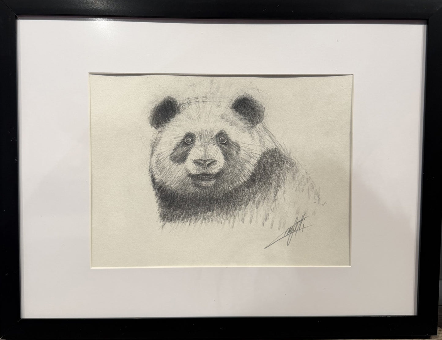  Croquis animalier ''Ame tranquille''  croquis de l'artiste Confetti au crayon graphite 