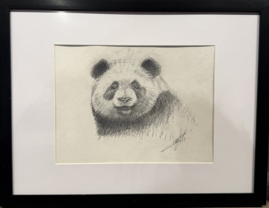  Croquis animalier ''Ame tranquille''  croquis de l'artiste Confetti au crayon graphite 