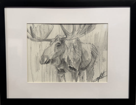  Croquis animalier ''Force tranquille''  croquis de l'artiste Confetti au crayon graphite 