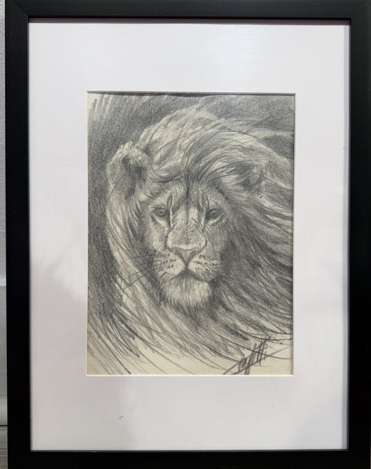 Croquis animalier ''Souffle du roi''  croquis de l'artiste Confetti au crayon graphite 