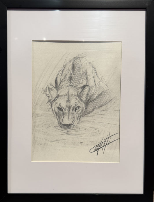  Croquis animalier ''A la source de la vie''  croquis de l'artiste Confetti au crayon graphite 
