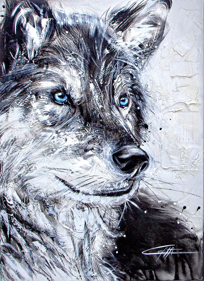 Bastian le loup / peint par un artiste confetti, passionné de peinture de loup, blanc et noir