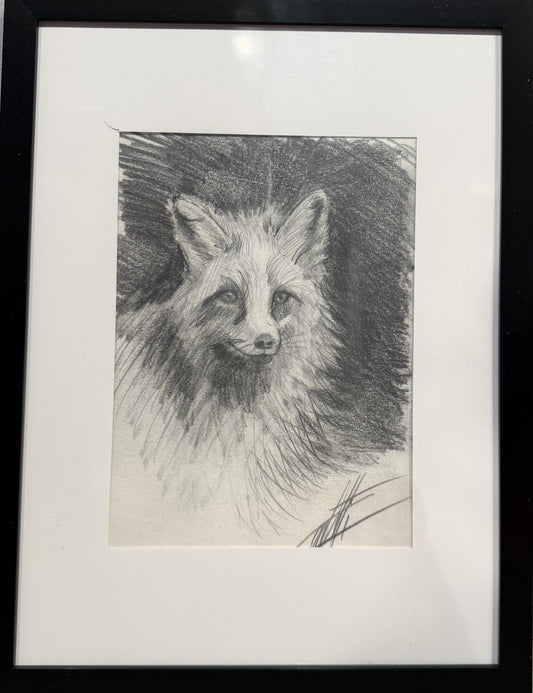  Croquis animalier ''Ruse en douceur''  croquis de l'artiste Confetti au crayon graphite 